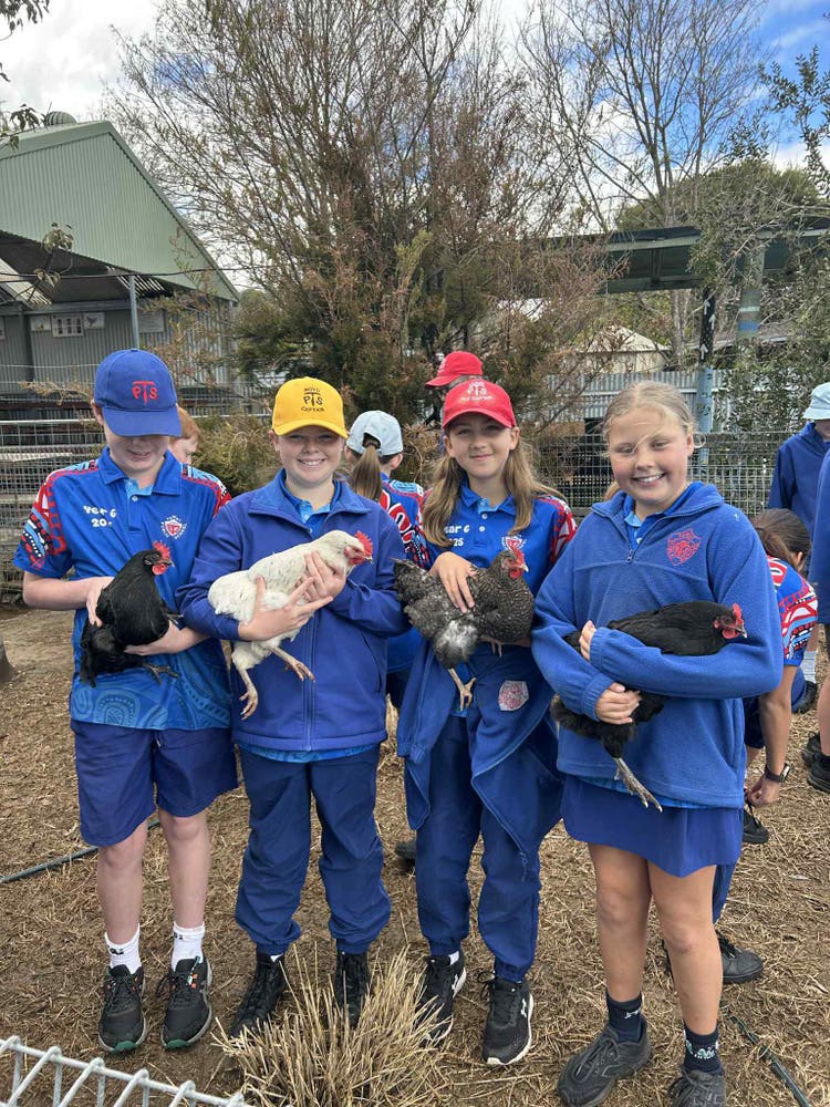 Year 6 students enjoying the Middle School Program and visiting the Tumut High School Ag farm.