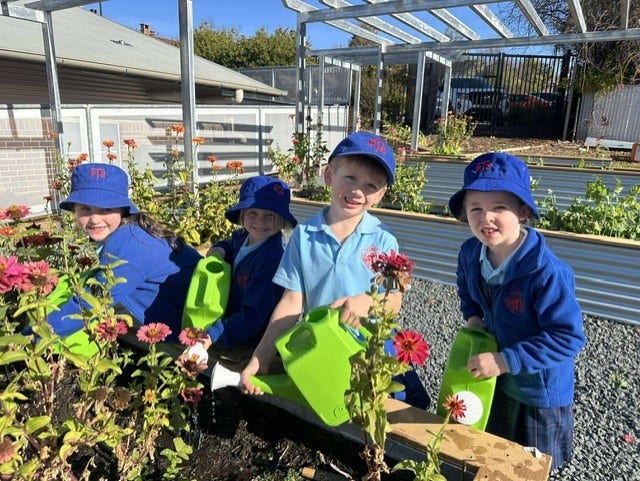 Students watering the flowers in the school garden.