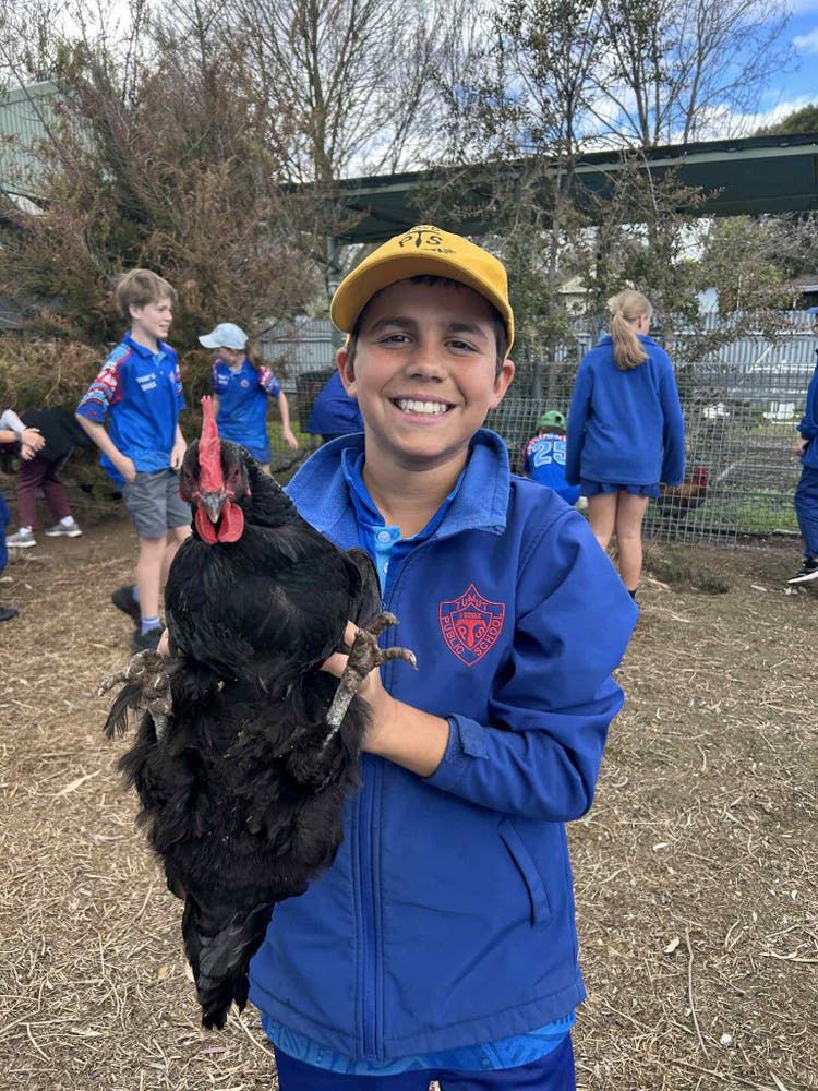 Student holding a chicken during a visit to the ag farm at Tumut High School.